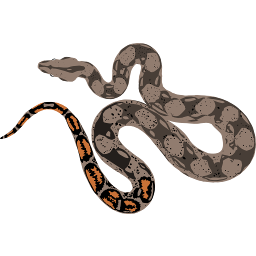 /jeux/Alphabet/Themes/Jungle/Parties\Jungle\Boa.png